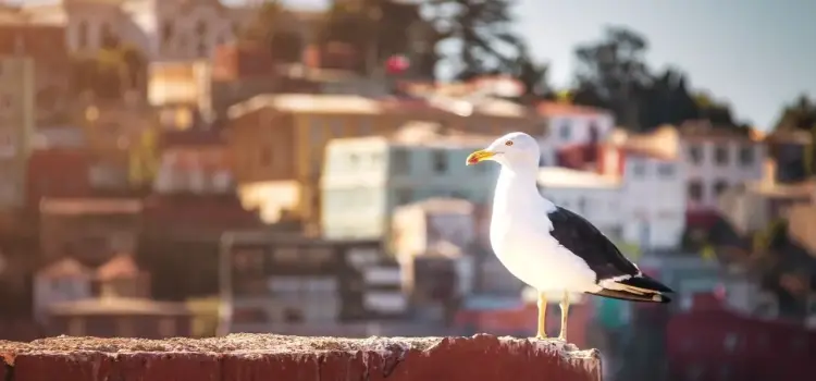 Valparaíso