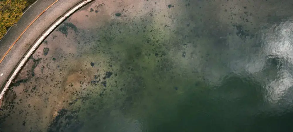 Aerial view of Vancouver's pristine coastline showing emerald waters meeting sandy shores and coastal road