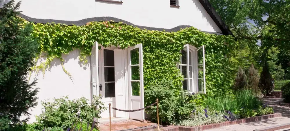 Charming ivy-covered villa with French doors opening to lush gardens in Warsaw's historic district