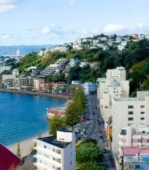 Wellington's hillside neighborhoods and harbor waterfront showcasing New Zealand's capital city charm