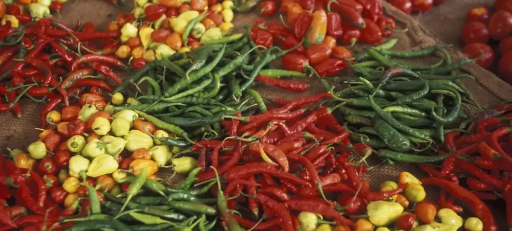 Vibrant red and green chili peppers with colorful spices at a traditional Zanzibar spice market