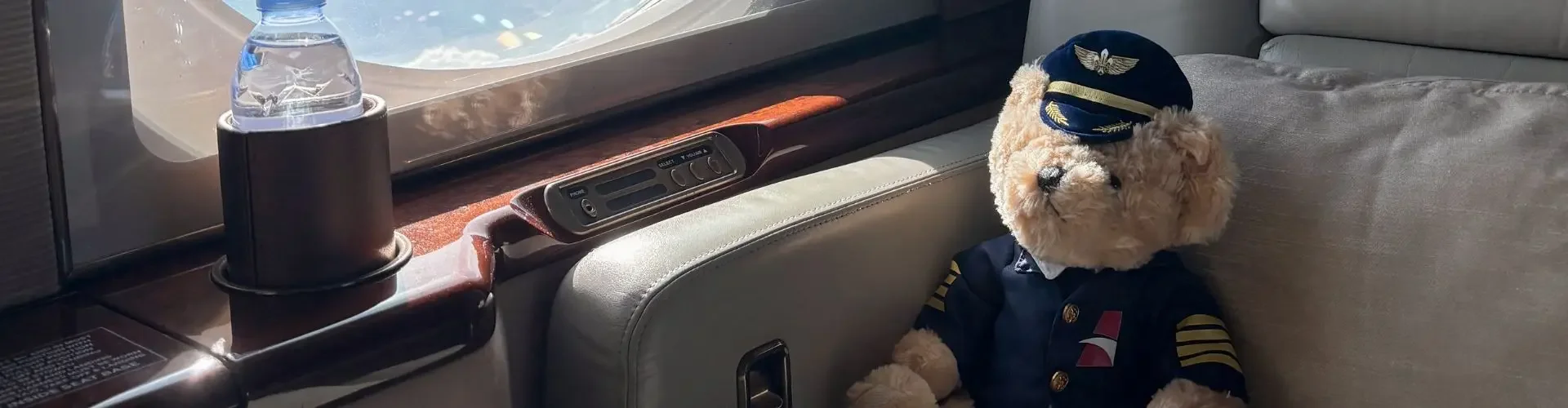 What to Expect Inside a Private Jet Cabin: Comfort, Tech & Style Teddy bear pilot mascot seated by aircraft window overlooking mountain landscape during luxury flight