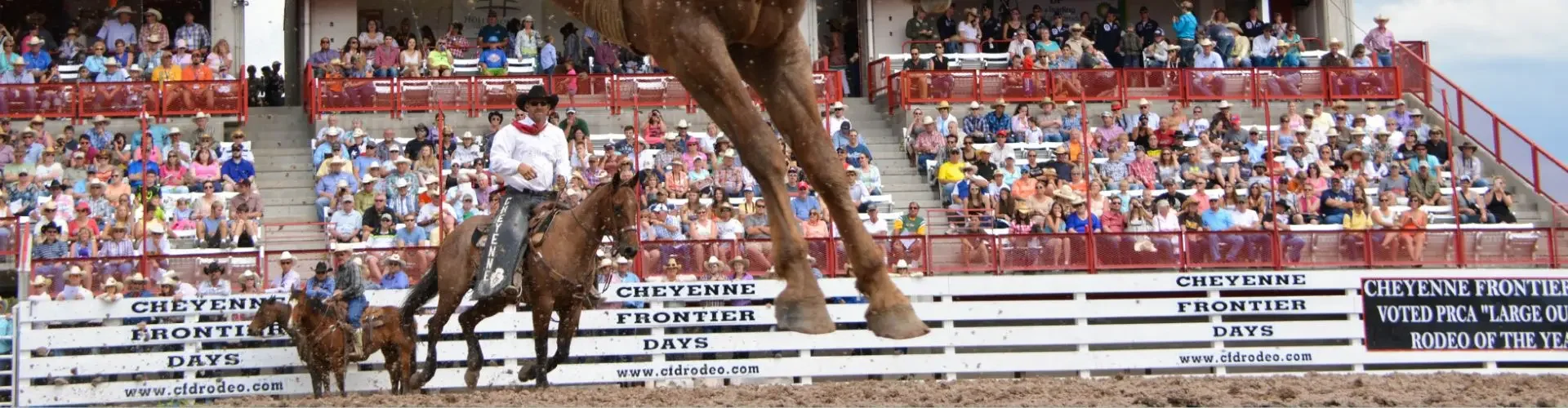Bronc rider on bucking horse at Cheyenne Frontier Days rodeo with crowded grandstand in background