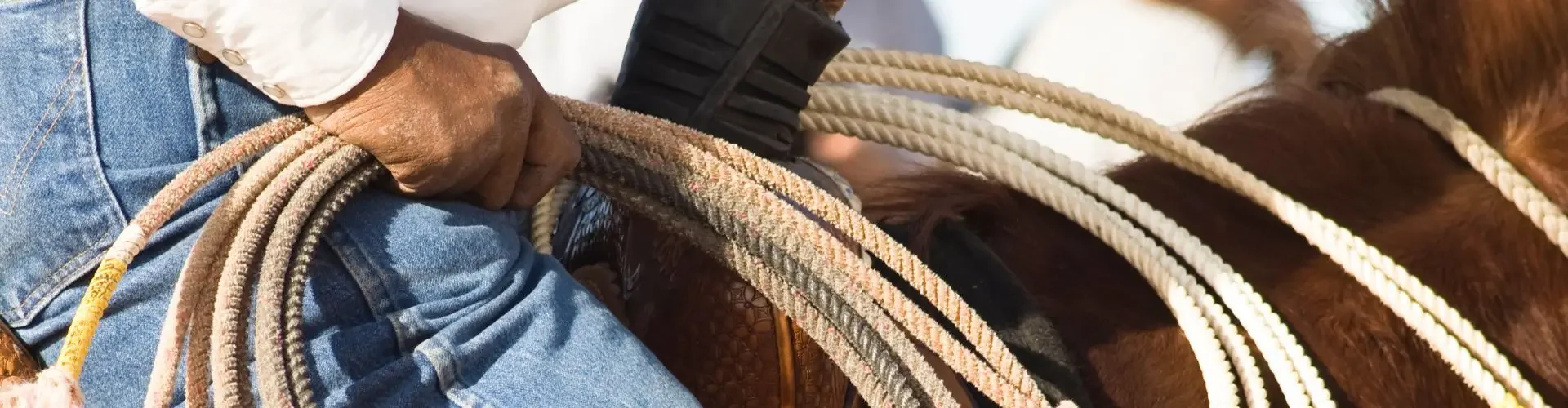 Private Jet to Houston Rodeo: Dates & Pricing Guide Cowboy holding coiled lasso ropes at Houston Rodeo, showcasing traditional western culture and craftsmanship