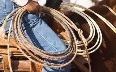 Private Jet to Houston Rodeo: Dates & Pricing Guide Cowboy holding coiled lasso ropes at Houston Rodeo, showcasing traditional western culture and craftsmanship