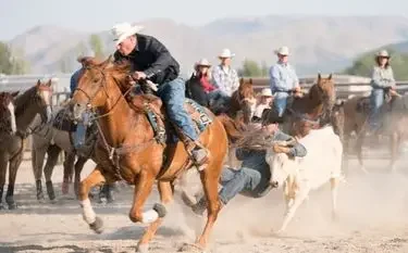 Cowboy on horseback roping cattle during rodeo competition with spectators and mountains in background