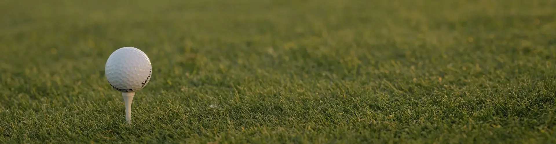 Golf ball positioned on tee against pristine green fairway, setting the stage for championship play