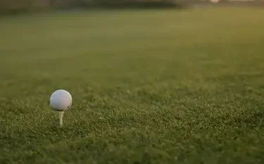 Golf ball positioned on tee against pristine green fairway, setting the stage for championship play