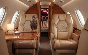 Luxurious private jet cabin interior with beige leather seats and an owl perched inside for pet travel