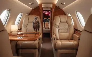 Luxury private jet cabin interior featuring comfortable leather seating and an owl perched inside