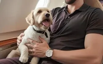 Passenger relaxing with small white dog aboard luxury private jet cabin during pet-friendly flight