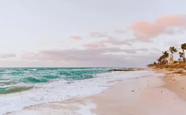 Pristine tropical beach with turquoise waves and palm trees under soft pink sunset sky for luxury travel