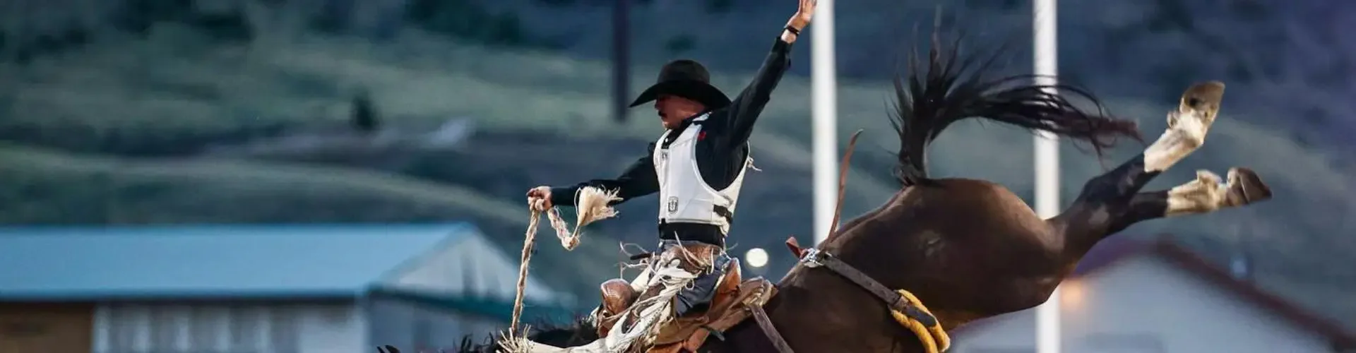 Private Jet to Cody Stampede: Rodeo Travel Solutions Bronc rider on bucking horse at Cody Stampede rodeo with arena lights and spectator stands visible