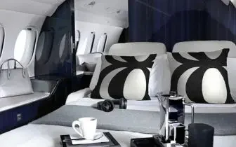 Spacious private jet cabin interior with comfortable seating and table setup for pet-friendly luxury travel
