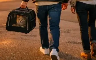 Travelers walking with cat in carrier bag for pet-friendly private jet travel experience