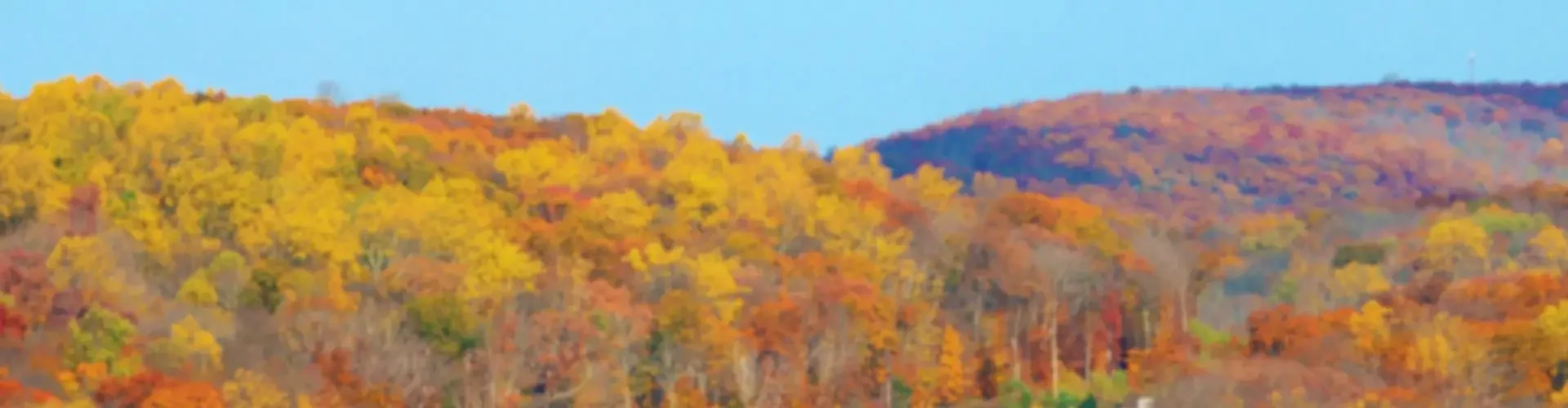 Scenic winding highway cutting through vibrant autumn foliage in rolling hills during peak fall season