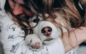 Woman cuddling with small white dog on cozy bedding during comfortable pet-friendly travel experience