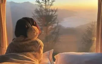 Woman enjoying for a christmas morning coffee watching sunrise snow capped mountains cozy cabin card item