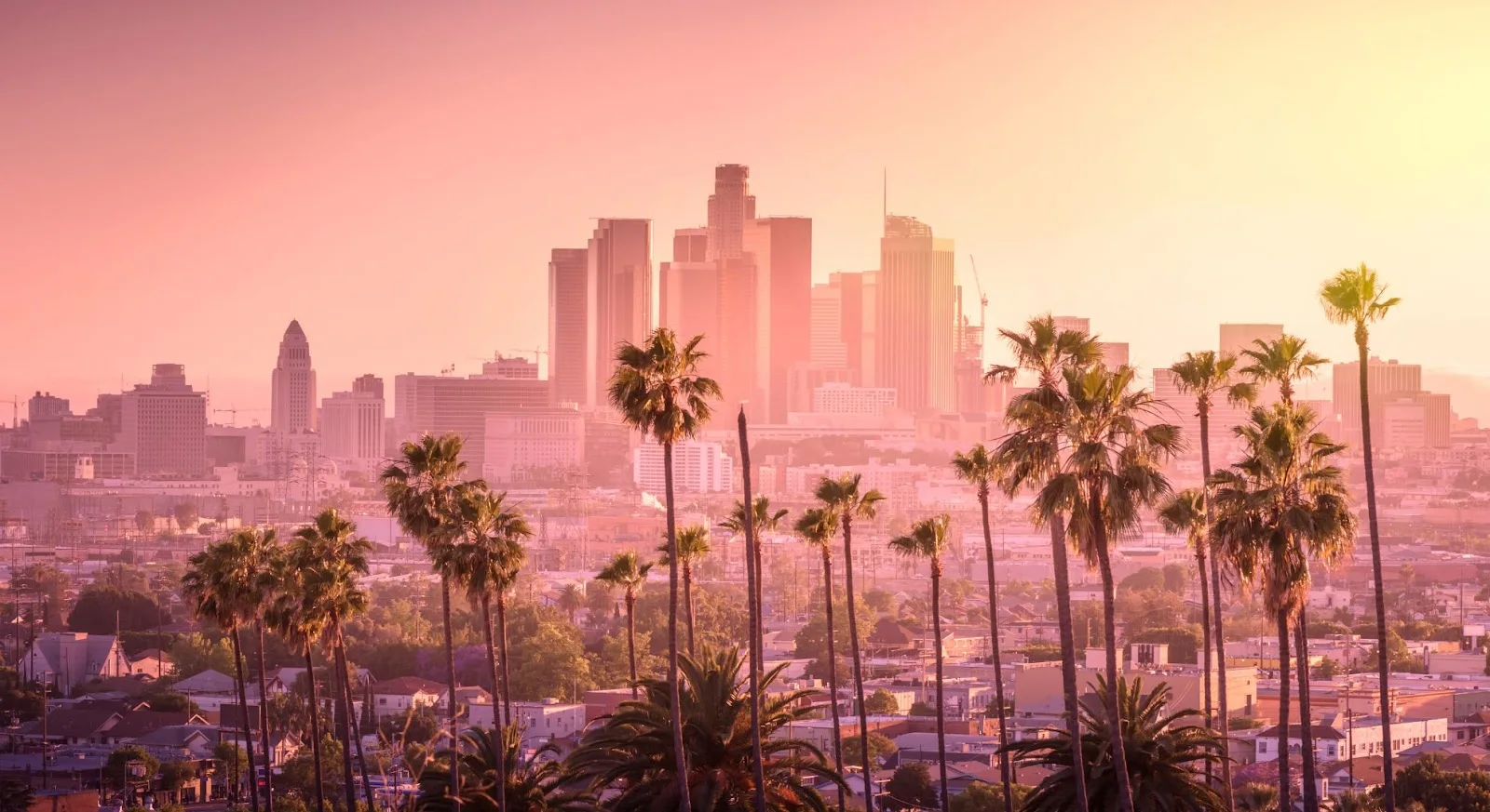 Los Angeles downtown skyline at golden hour with palm trees, showcasing a premium empty leg destination