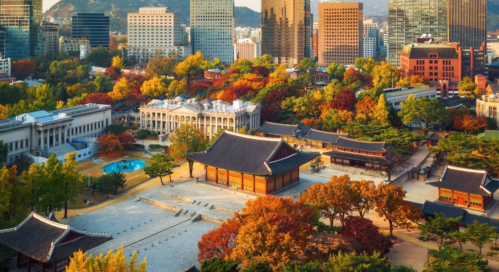 Seoul cityscape showcasing traditional palace architecture amid autumn foliage and modern skyscrapers
