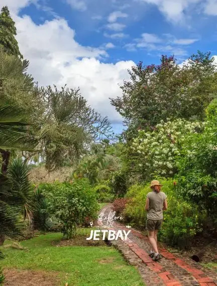 Traveller walking a brick path through Andromeda Botanic Gardens in Bathsheba, Barbados, surrounded by lush tropical flora
