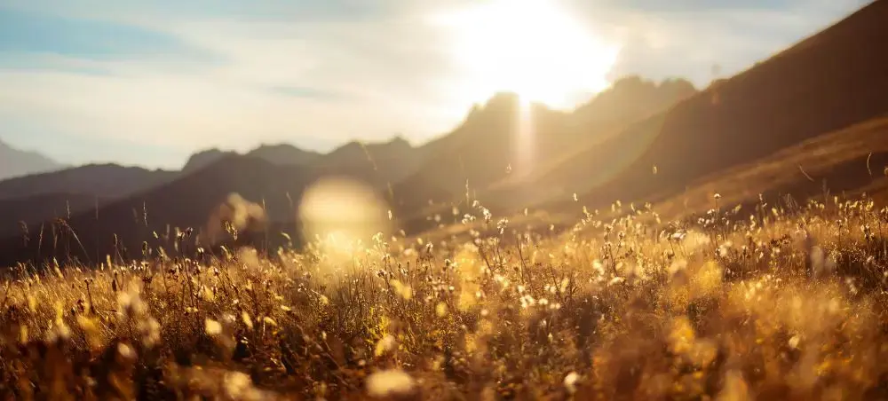 Golden sunset over the meadow in Auvergne-Rhône-Alpes during Autumn