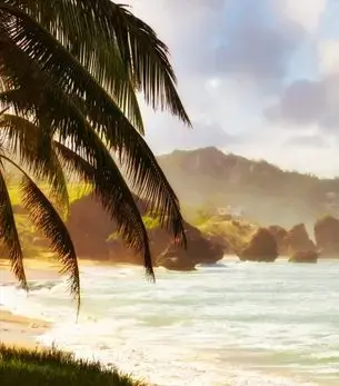 Atlantic waves and rock formations along the coast of Bathsheba, Barbados