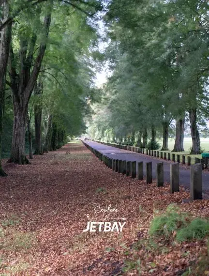 Tree-lined path in Bute Park beside Cardiff Castle in Wales