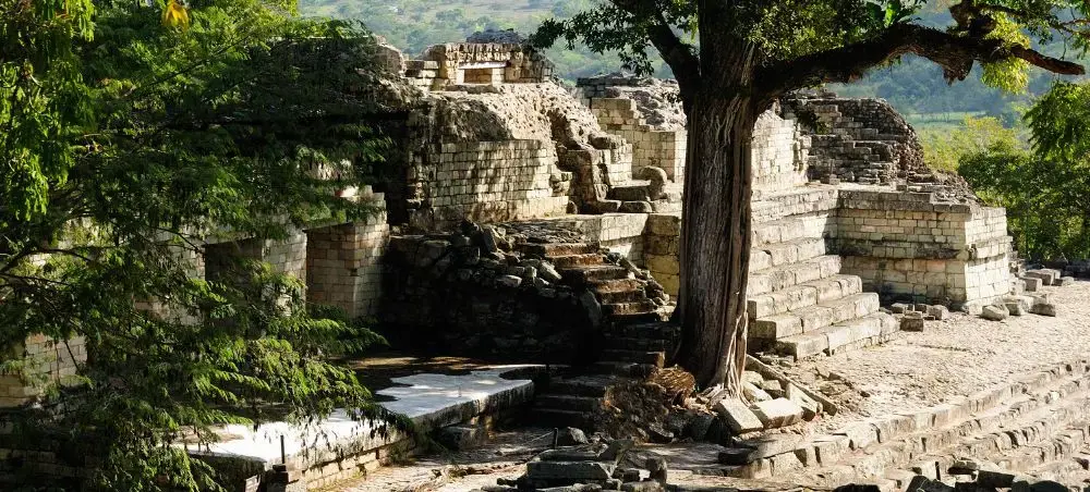 Ancient Mayan ruins at Copan in Honduras surrounded by tropical greenery