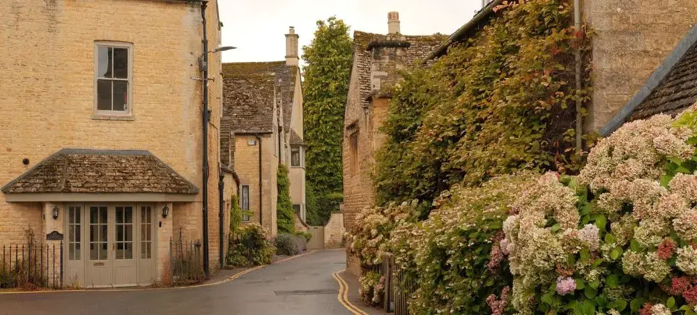 Charming Cotswolds village lane lined with blooming hydrangeas and ivy-clad walls