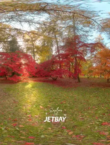 Red and gold autumn trees along a path at Westonbirt National Arboretum near Tetbury