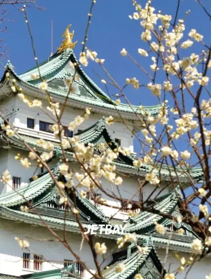 Nagoya Castle in Japan with its historic architecture and surrounding park