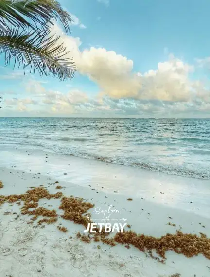 Bávaro Beach in Punta Cana Dominican Republic with white sand and turquoise sea