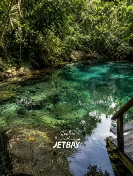 Freshwater lagoon at Indigenous Eyes Ecological Reserve in Punta Cana Dominican Republic