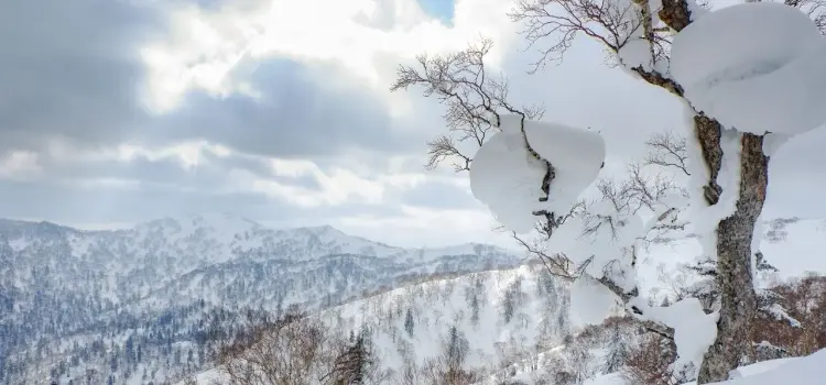 Sapporo