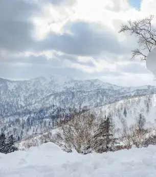 Snow-laden tree and sweeping winter mountain landscape in Sapporo, Hokkaido, ideal for luxury private jet travel to Japan's north