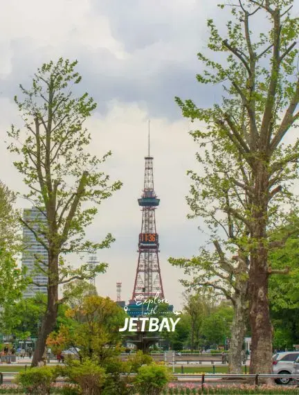 Odori Park in central Sapporo, Japan, with city buildings nearby