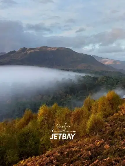 Caledonian pine forest surrounding a mountain loch in Glen Affric, Scottish Highlands