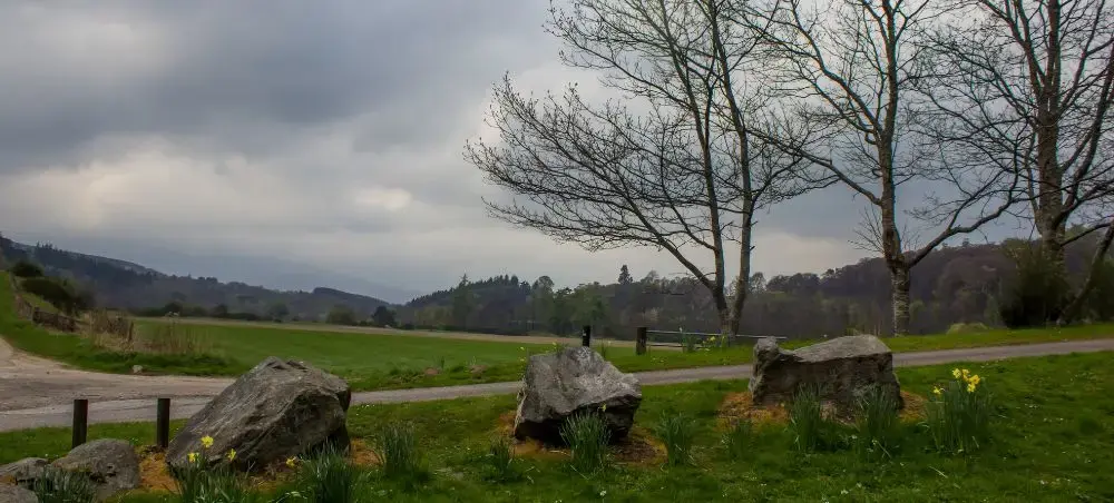 Rolling green Speyside valley landscape with dramatic cloudy skies, bare trees, and spring daffodils