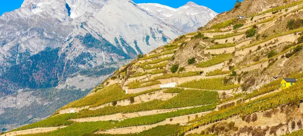 Vineyards and Alpine slopes near Sion, Switzerland, showing the Valais landscape