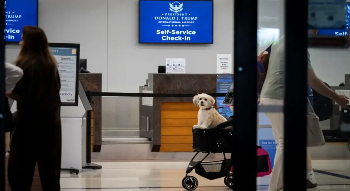 Small white dog in a pet stroller with a screen displaying the new President Donald J. Trump International Airport