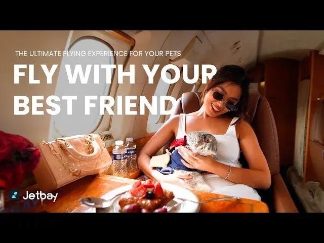 Pet Charter Travel with JETBAY 🐾🛩️ | Flying with Pets on Private Jets